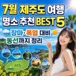 제주도 여행