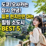 일본 소도시에서 카메라를 들고 웃고 있는 여성 여행자