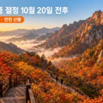 설악산 단풍 절정 시기 앞둔 한글날, 2만 명 몰리고 비선대·봉정암에서 사고까지