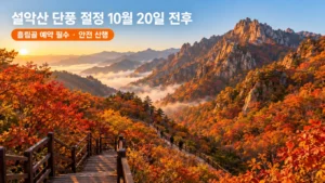 설악산 단풍 절정 시기 앞둔 한글날, 2만 명 몰리고 비선대·봉정암에서 사고까지